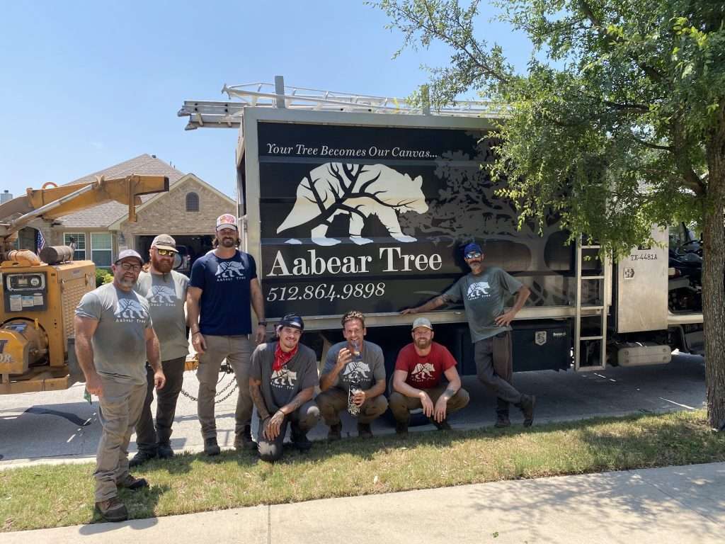 the aabear tree crew