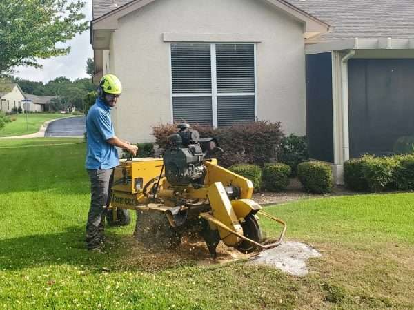 grinding a stump