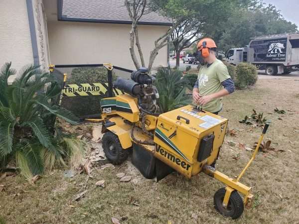 stump removal