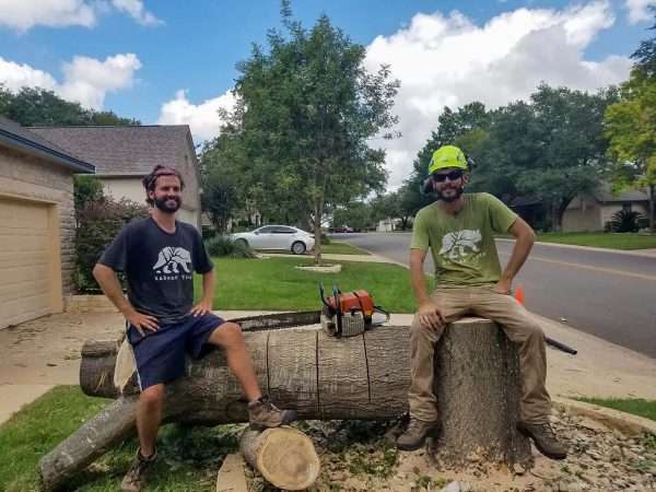 tree removal