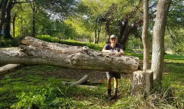 young man with a fallen tree