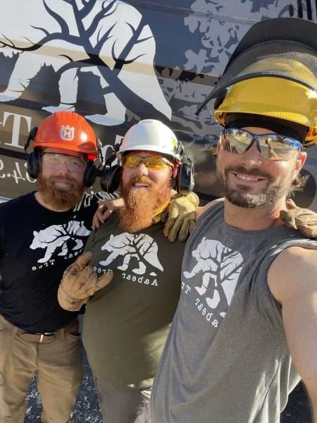 the aabear tree crew