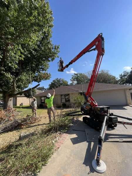 aabear tree crew with large equipment