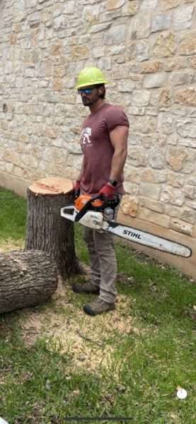 aabear tree crew with a chainsaw