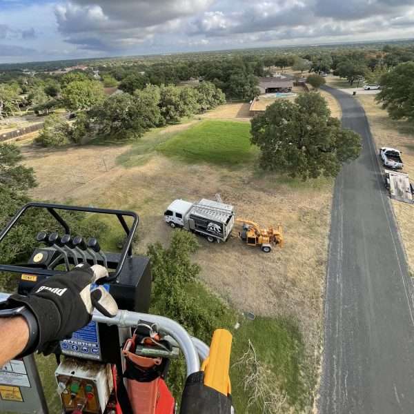 tree trimming from high up in a cherry picker