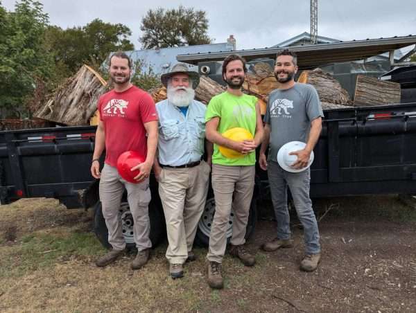 aabear tree crew