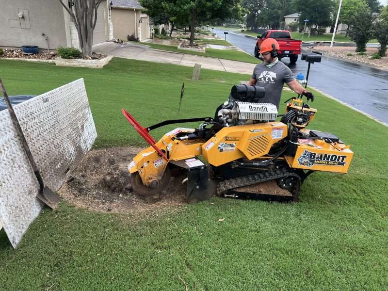stump grinding