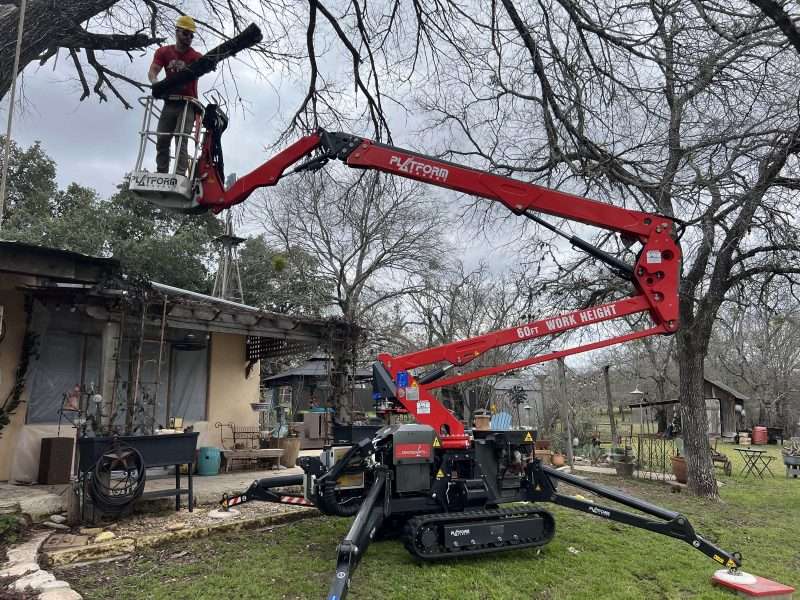 tree pruning