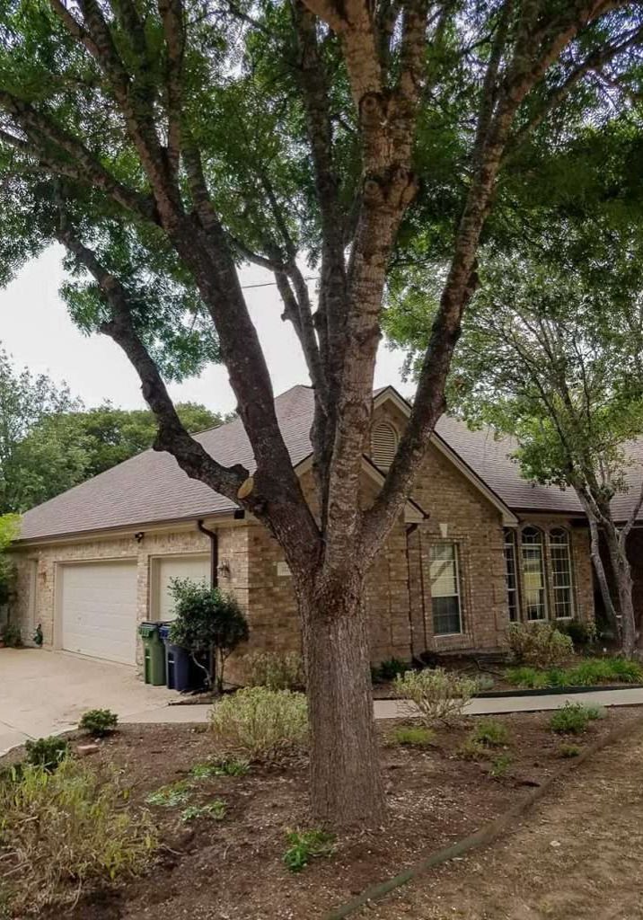 aabear-tree-care-gallery-68-1920w