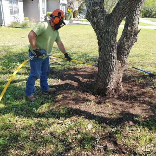 air-spading (6) tree health management