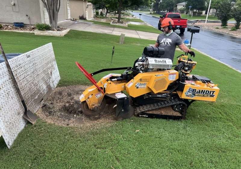 stump grinding
