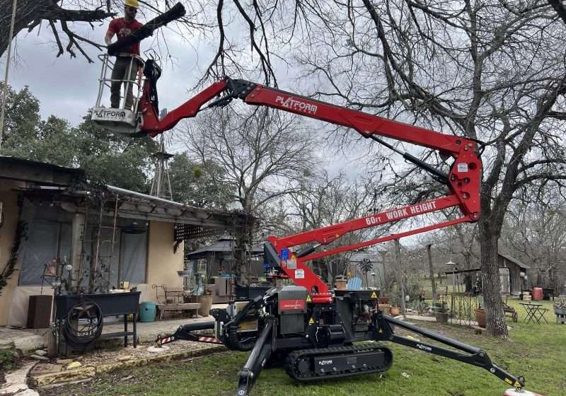 tree pruning