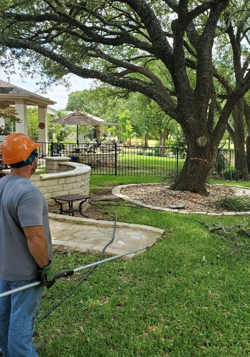tree pruning