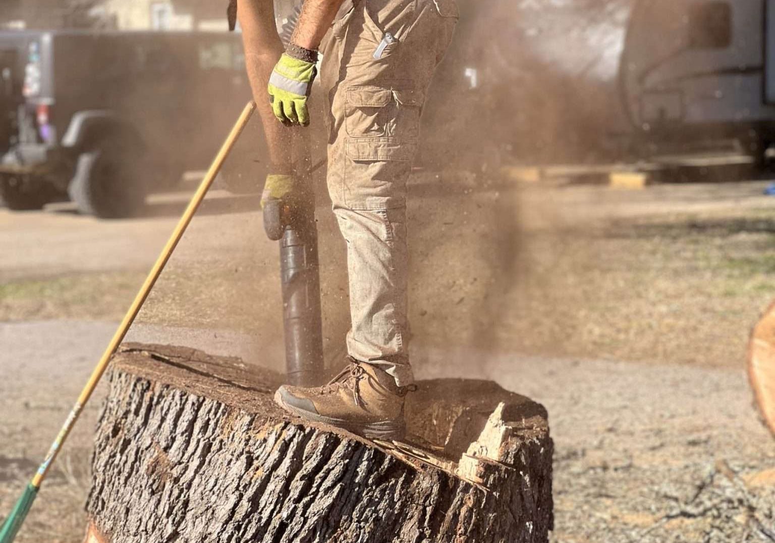 tree-removals (16) stump removal