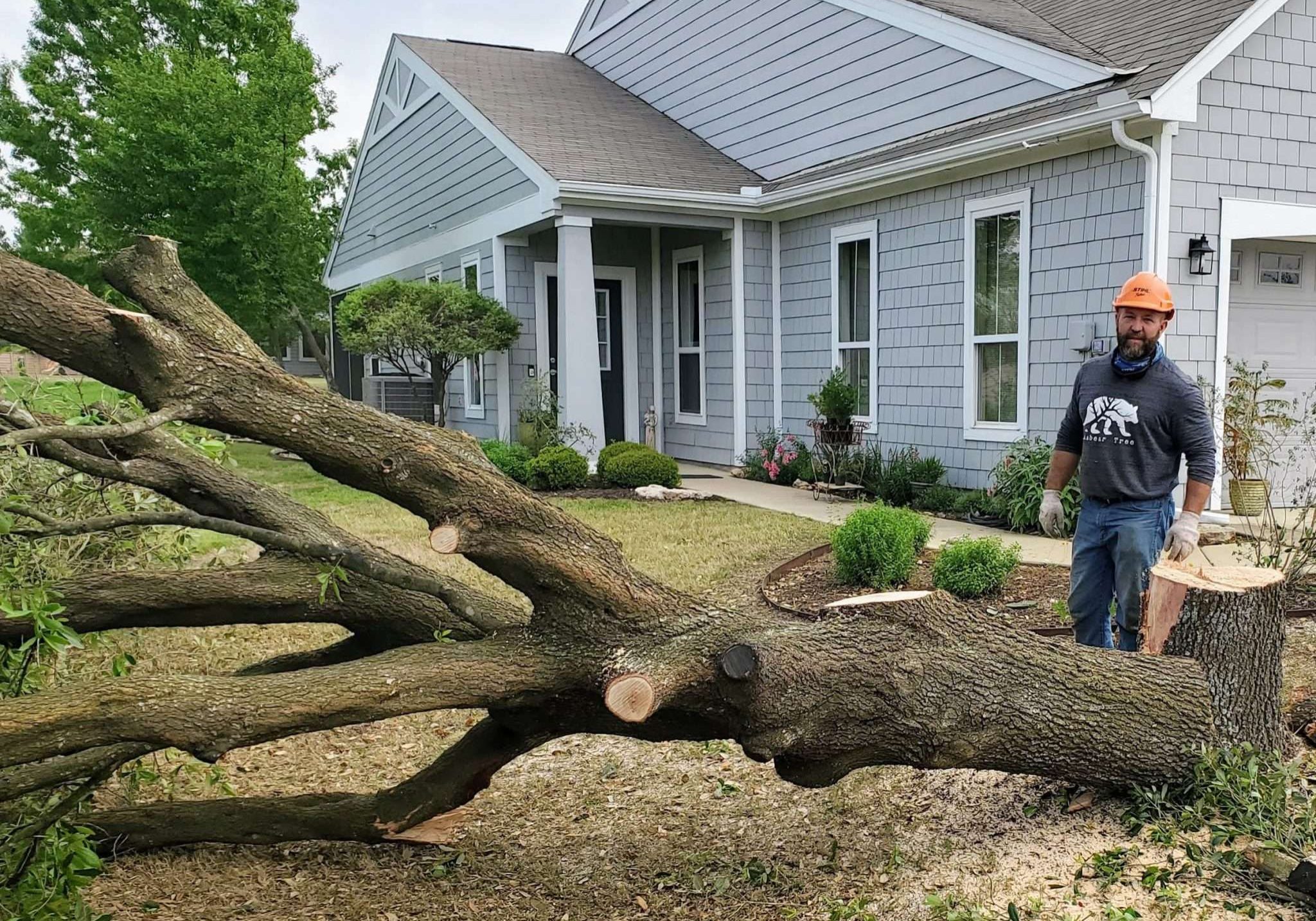tree removal