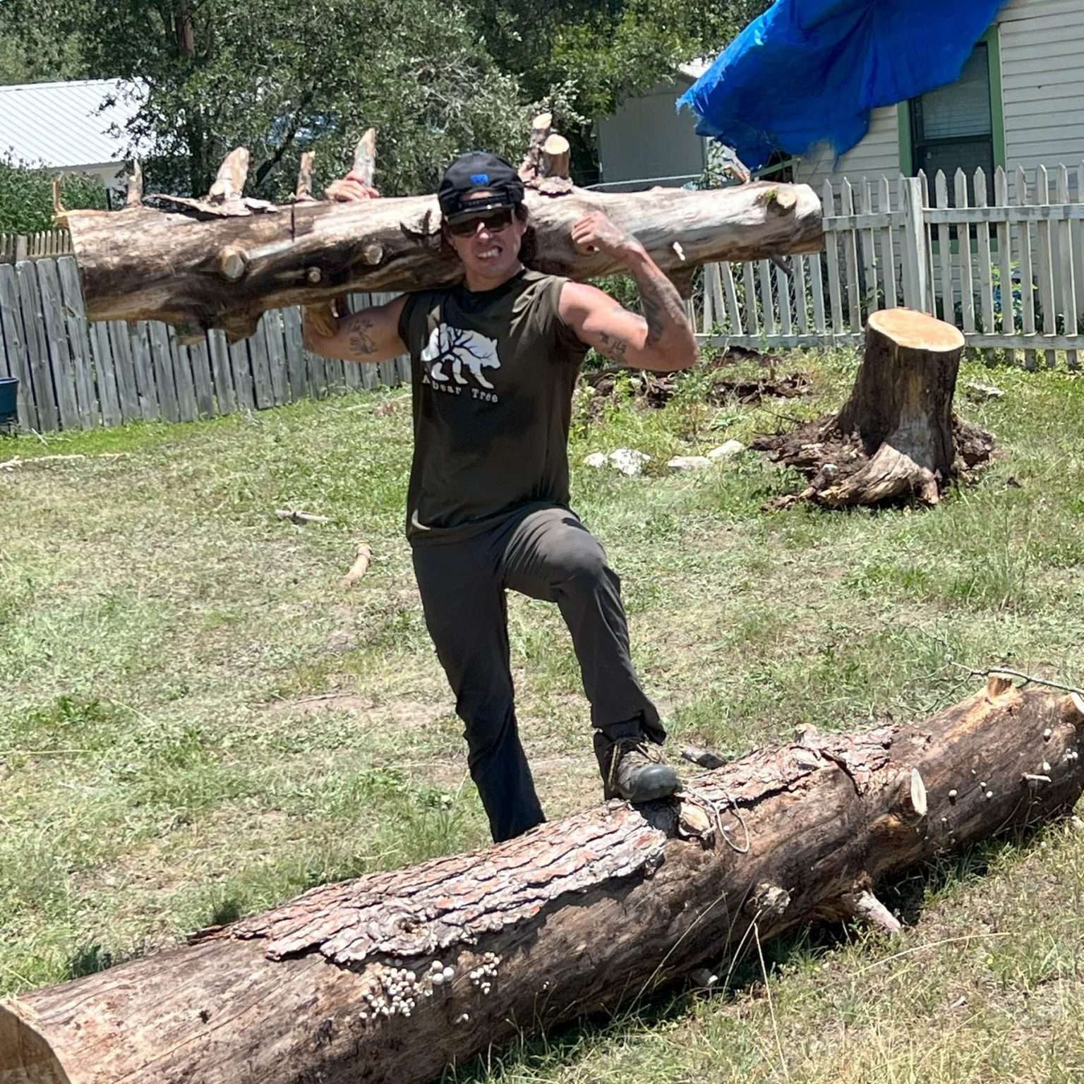 tree removal